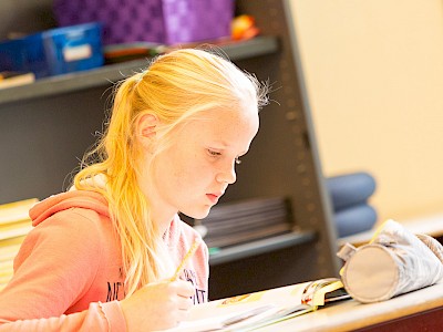 dBoS de Bibliotheek op School