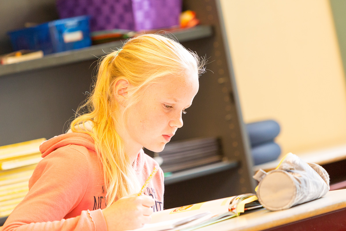 dBoS de Bibliotheek op School